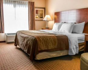 Гостиница Quality Inn Near Interstate I94  Нью Буффало